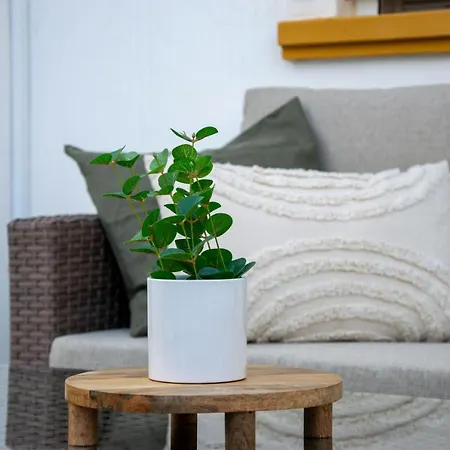 Holiday home Molino Blanco By La Mata